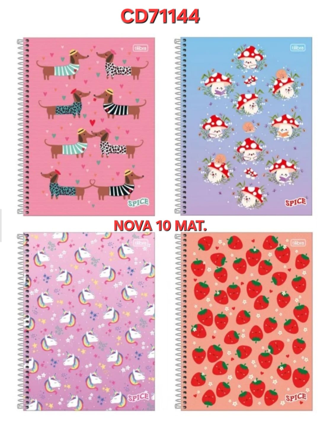 CADERNO ESCOLAR