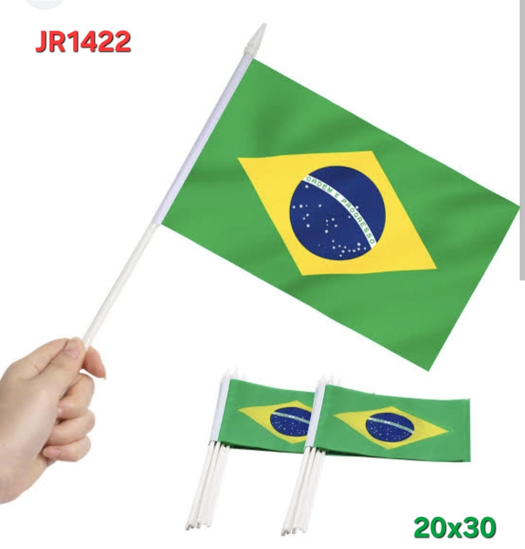 BANDEIRA DO BRASIL 20X30